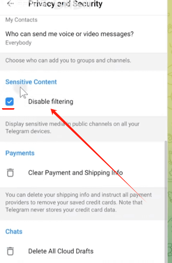 Telegram敏感内容过滤设置